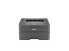 HLL2400DW
