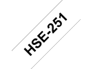 HSE251