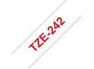 TZe242