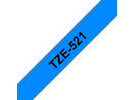 TZe521