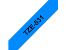 TZe531