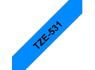 TZe531