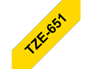 TZe651