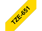 TZe651
