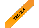 TZeB31