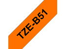 TZeB51