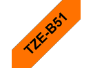 TZeB51