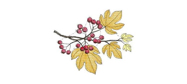 Card_Embroidery_Autumn_780x350