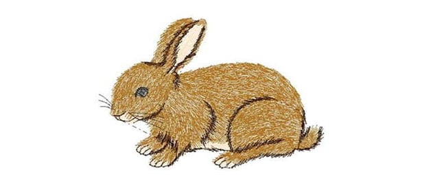 Card_Embroidery_rabbit_780x350