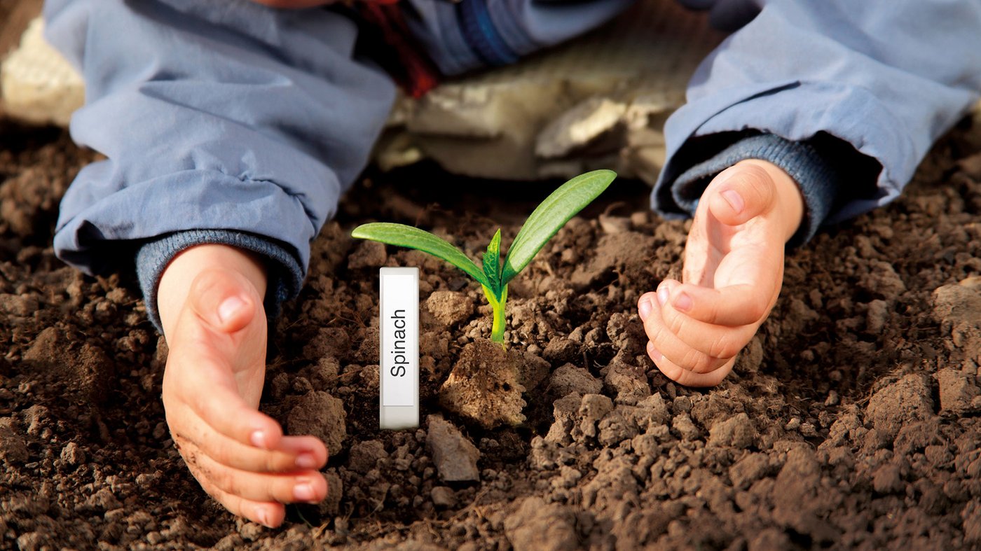 P-touch-label-gardening hands