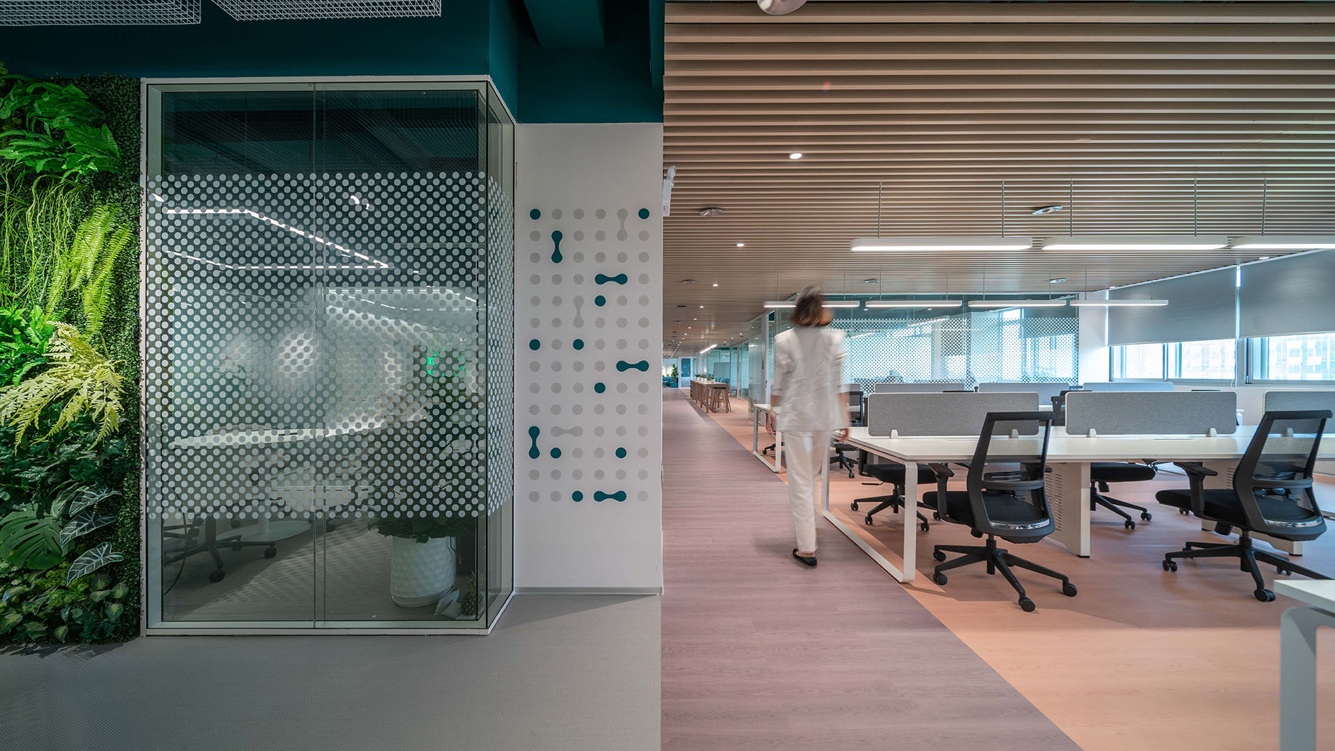 Modern open plan office with workstations and a person walking through the space beside a glass meeting room and vertical plant wall.