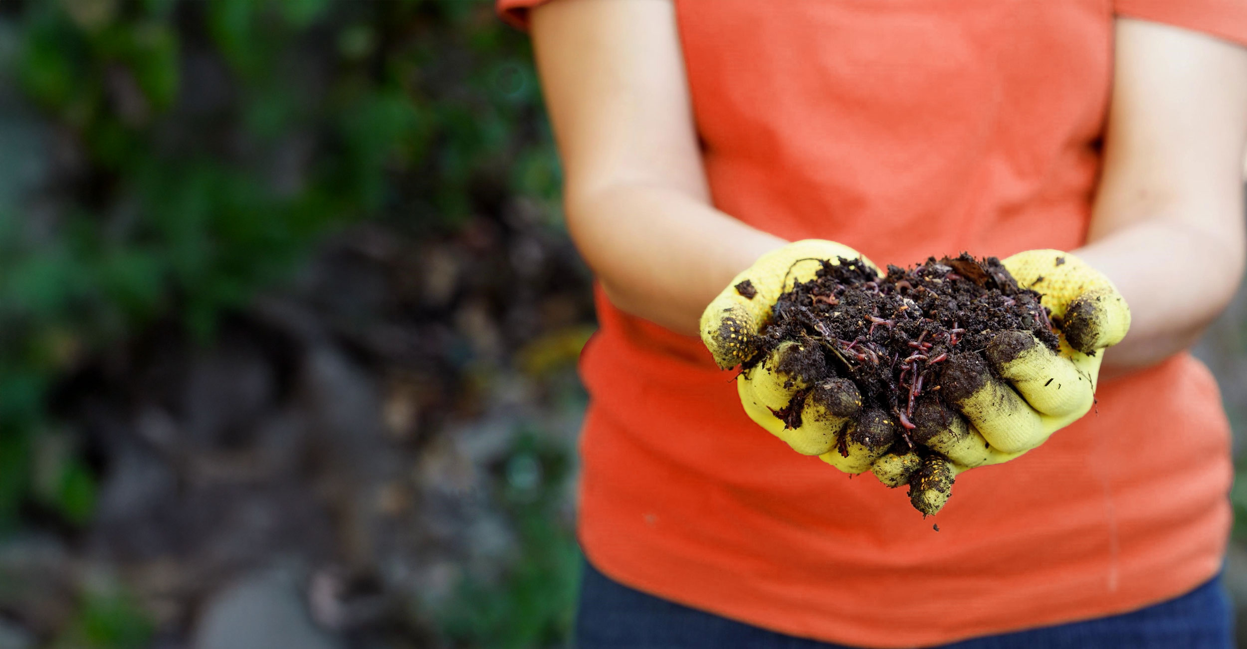 Brother-Vermicomposting-Service-Labelling-Sustainability