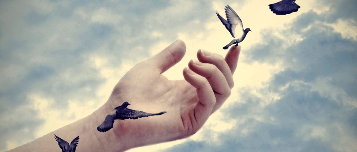 Hand releasing pigeons into the air