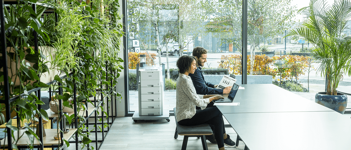 Two people are sitting at a long table in a modern office space with large windows. The person on the left is using a laptop, while the person on the right is holding a document and pointing at it. The office has an abundance of greenery, including plants on shelves to the left and a large potted plant to the right. Outside the window, there are trees and buildings visible.