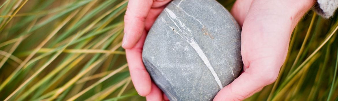 a stone in a grass environment