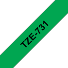 TZe-731