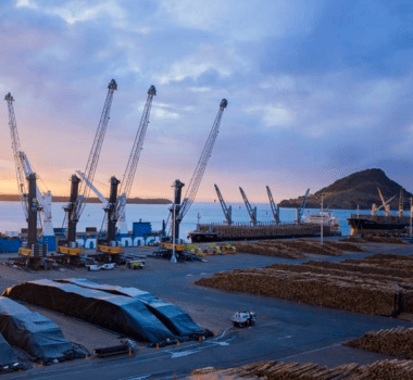 A port with cranes, stacked logs, and covered goods at sunrise or sunset.