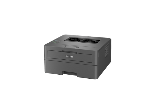 HL-L2400DW Mono Laser A4 Printer  2