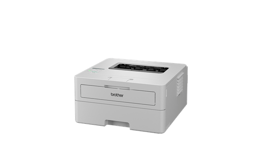 HL-L2865DW Mono Laser A4 Printer 