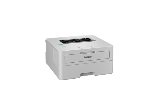 HL-L2865DW Mono Laser A4 Printer  3