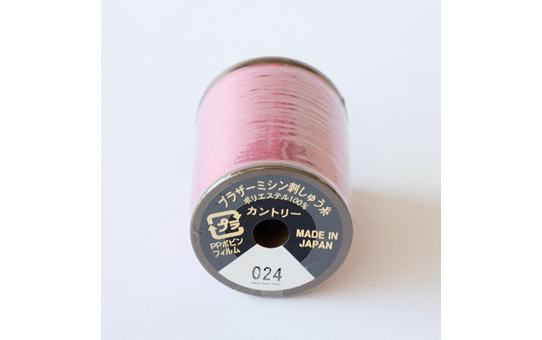 CYT024 2