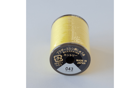 CYT043 2