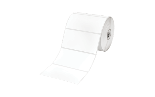 RDS03C1 - Die-Cut Labels