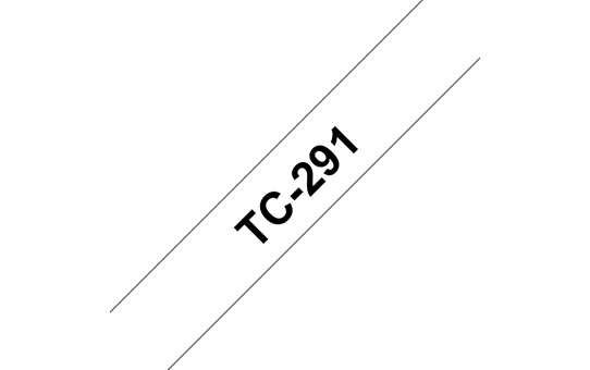 TC291